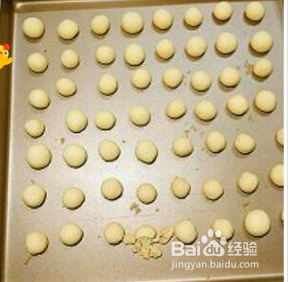 家乡的奶豆豆