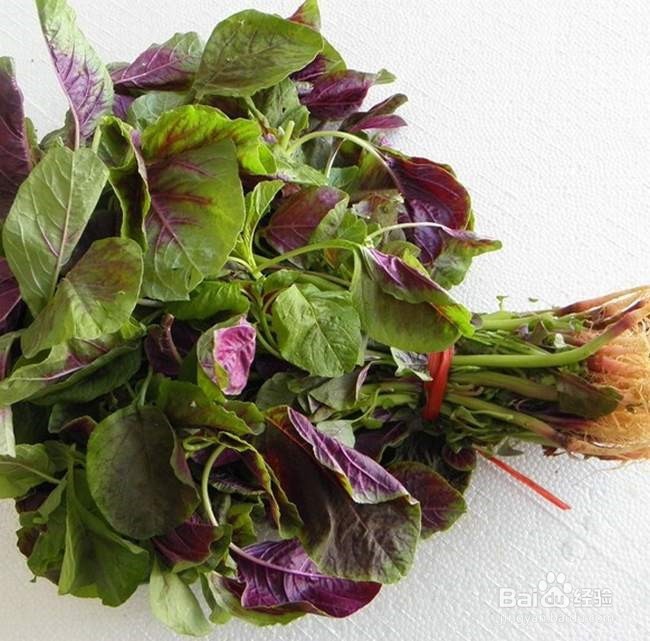 通过饮食提高自身免疫力