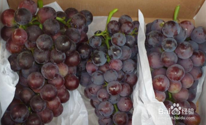 葡萄快递怎么包装
