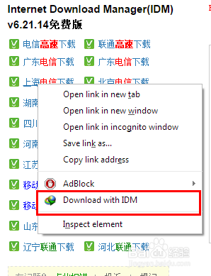 告诉下载器 IDM的使用