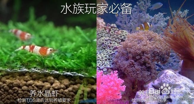 小米水质TDS检测笔的作用