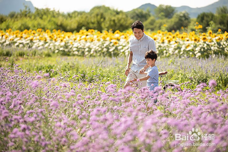 别把儿子养成妈宝男