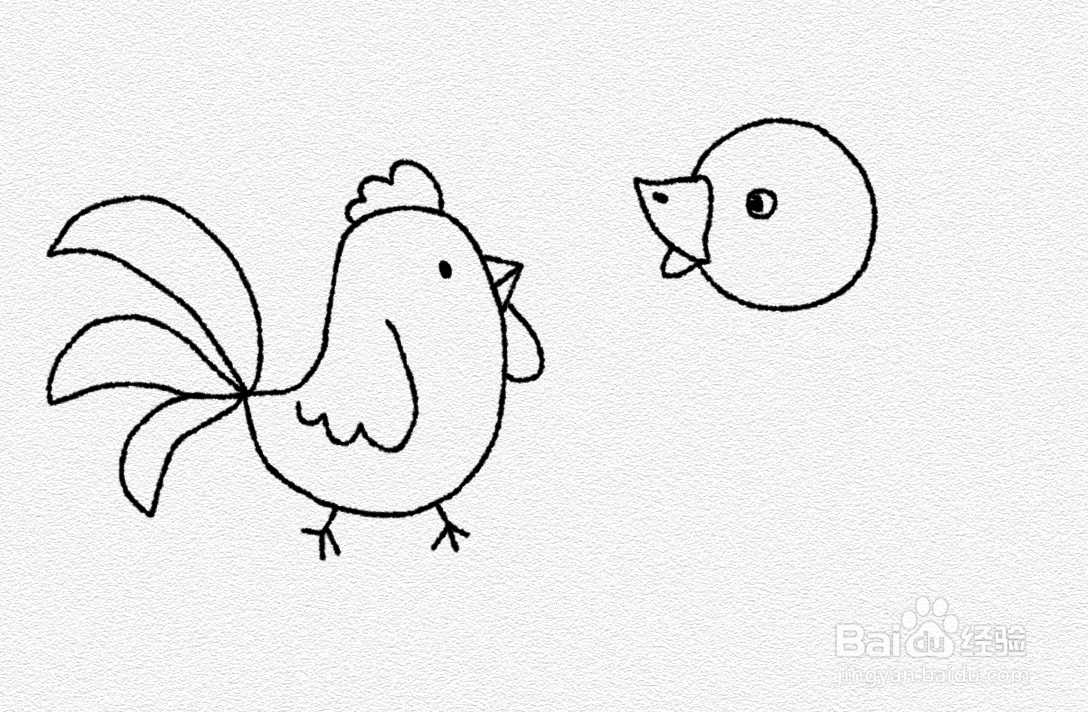 小公鸡和小鸭子怎么画