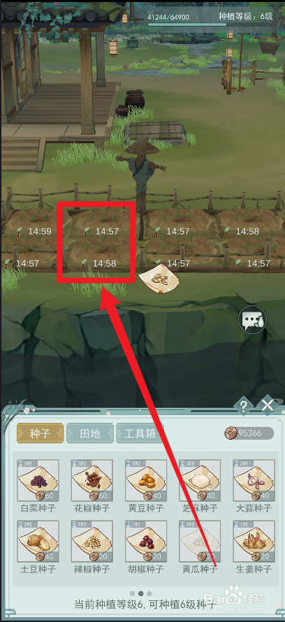 江湖悠悠黄瓜怎么种植