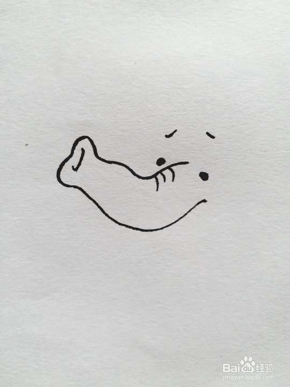 象的简笔画法《一》