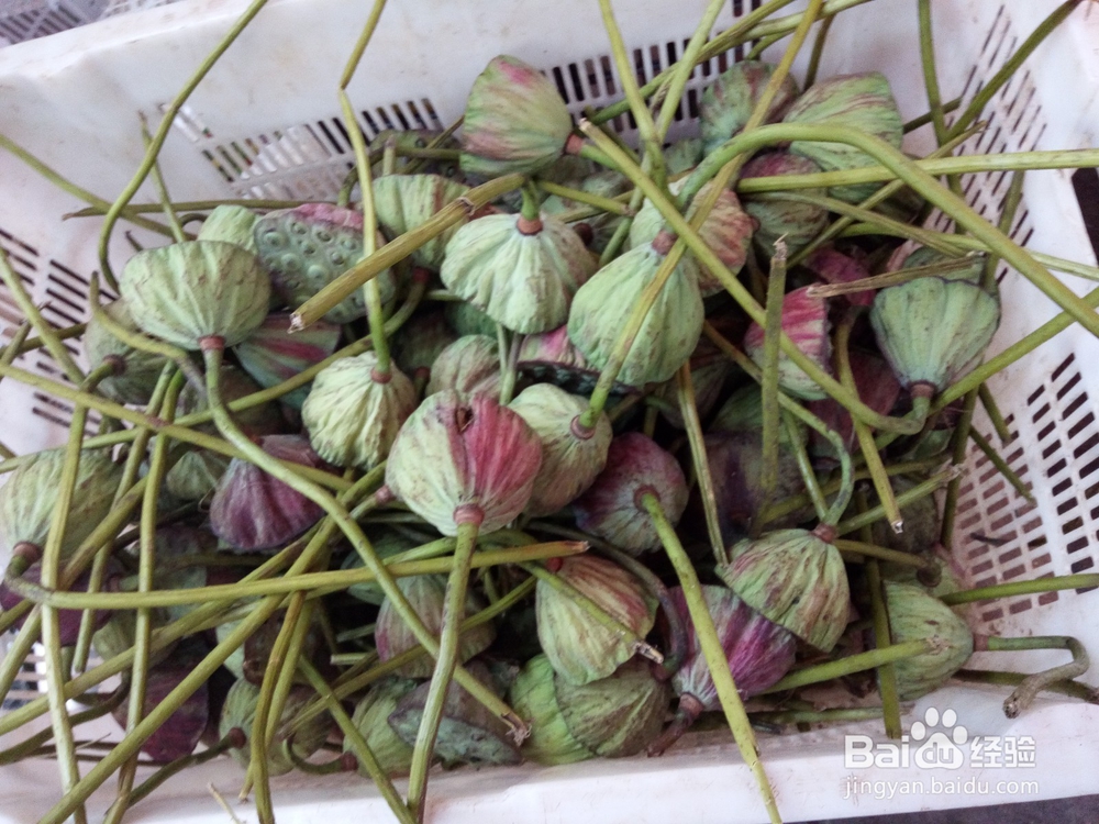 云南美食野生菌鸡枞鲜香味美吃货首选