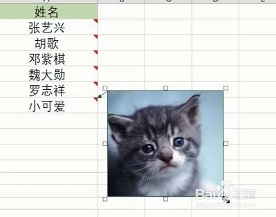 怎么给Excel添加照片提示