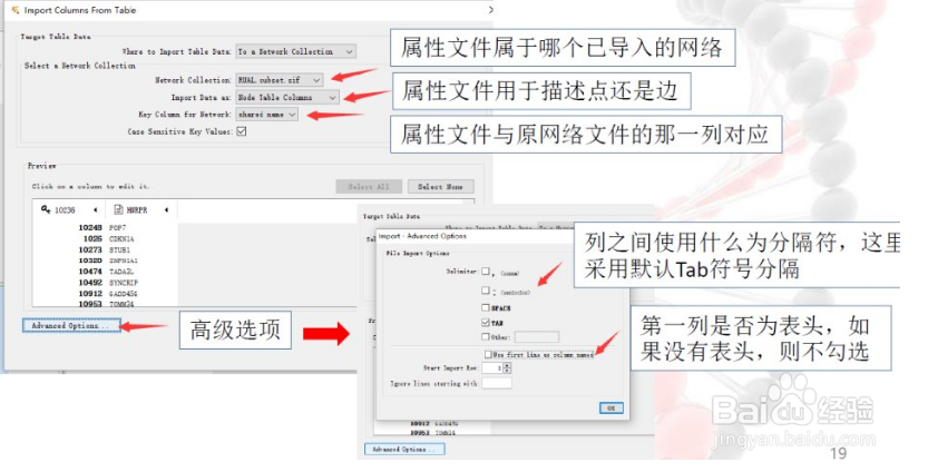 cytoscape使用教程
