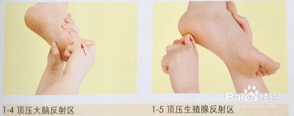 足底按摩治疗失眠