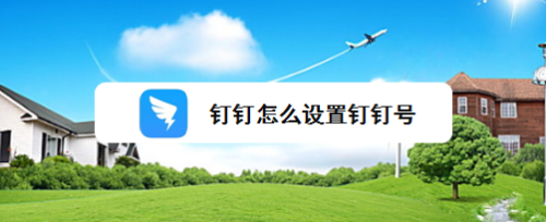 钉钉怎么设置钉钉号