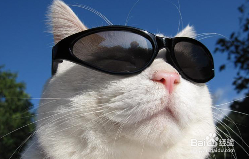 怎样做生活中的主人