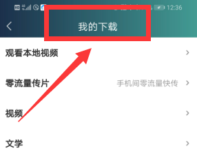 爱奇艺下载的视频为什么用其他播放器放不出来