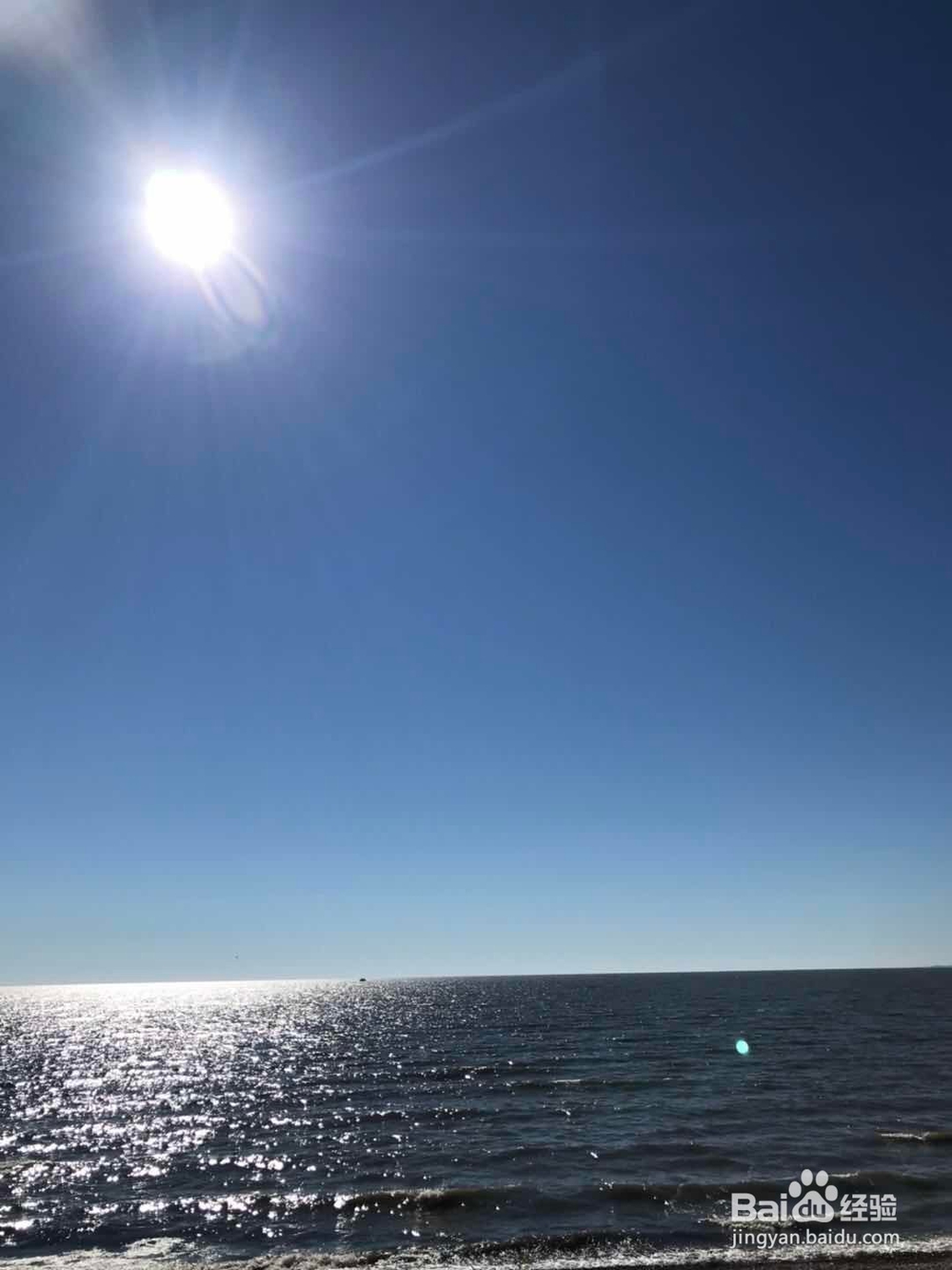 呼伦贝尔大草原环线 六日游 旅游攻略