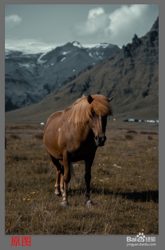 PS后期:调整一张草原上的马的图片