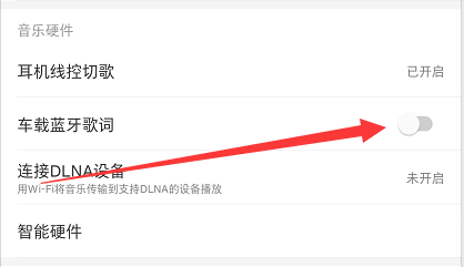 网易云音乐怎么打开车载蓝牙歌词