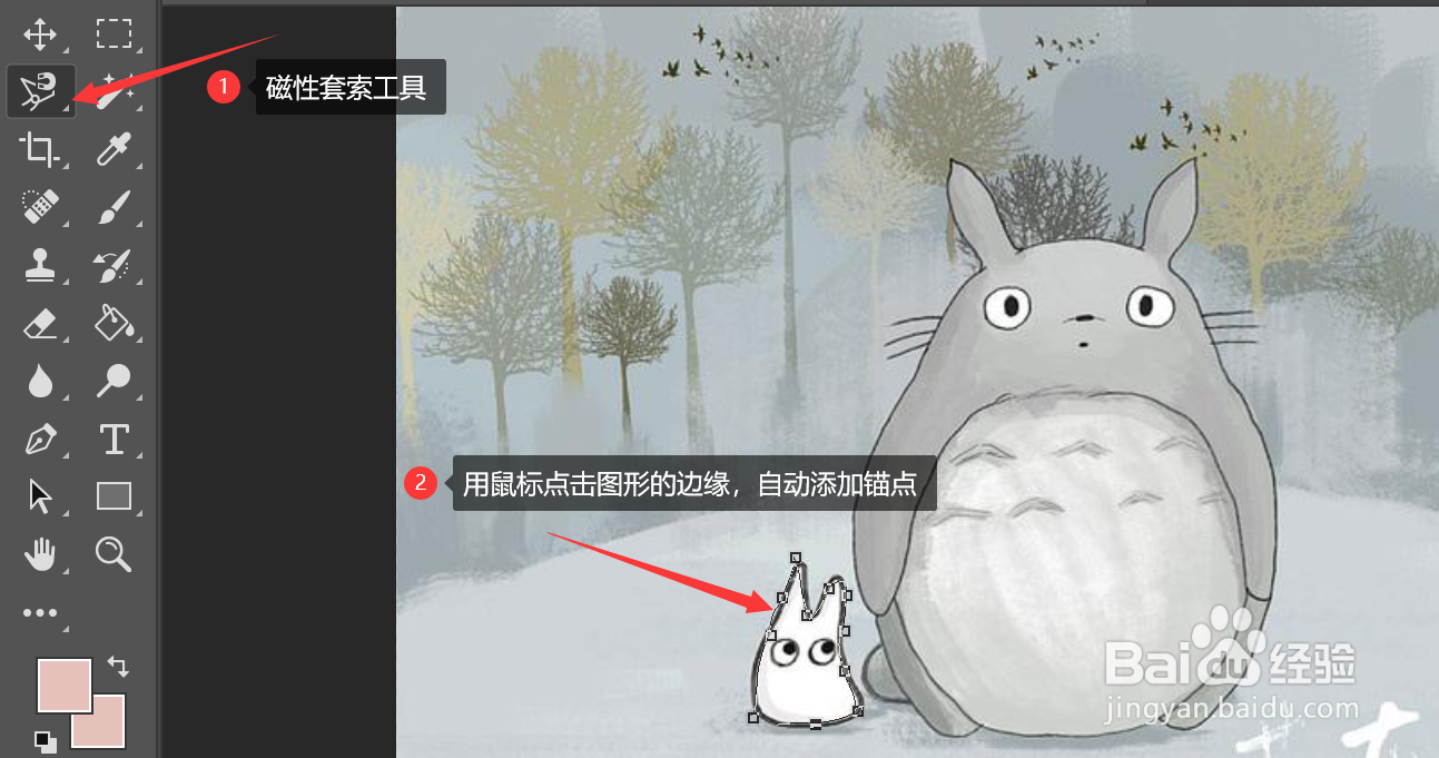 如何在ps中使用套索类工具