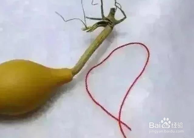 葫芦龙头怎么保护