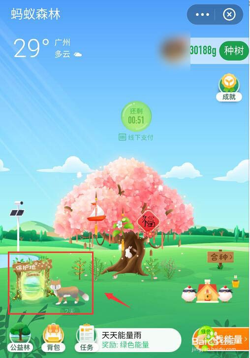 蚂蚁森林里的小动物如何获得