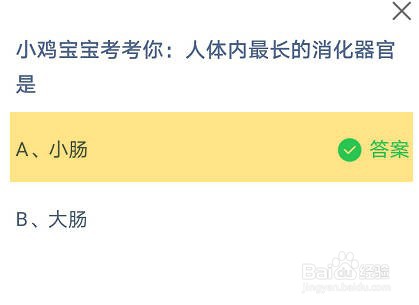人体内最长的消化器官是蚂蚁庄园8.18