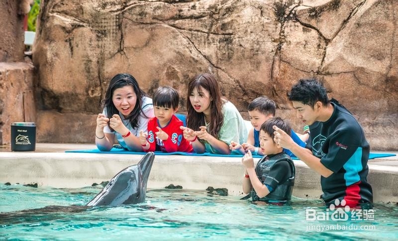 新加坡旅游简记22