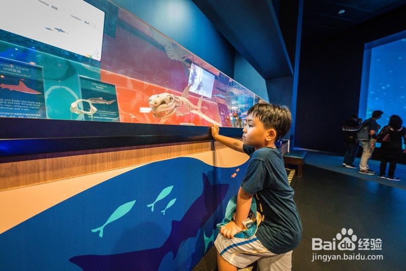 新加坡旅游简记18