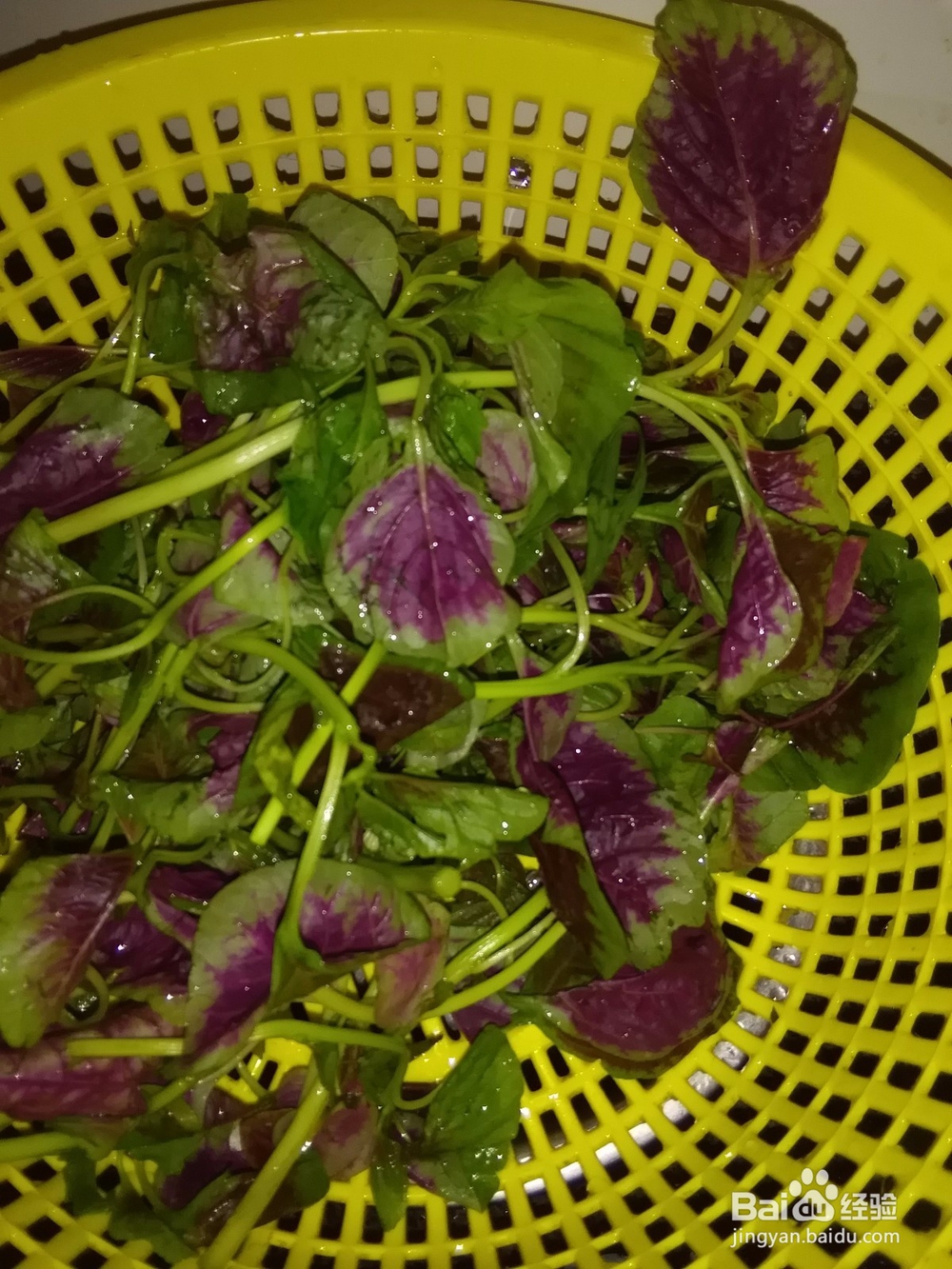 怎样清炒红苋菜