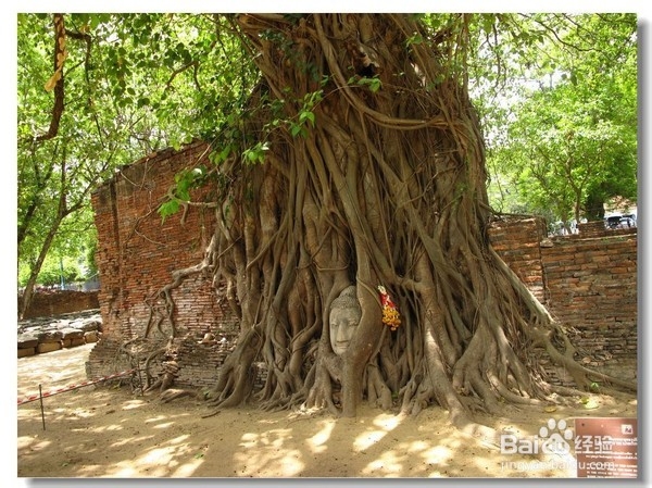 泰国大城王城游记攻略