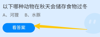 以下哪种动物在秋天会储存食物过冬？蚂蚁庄园