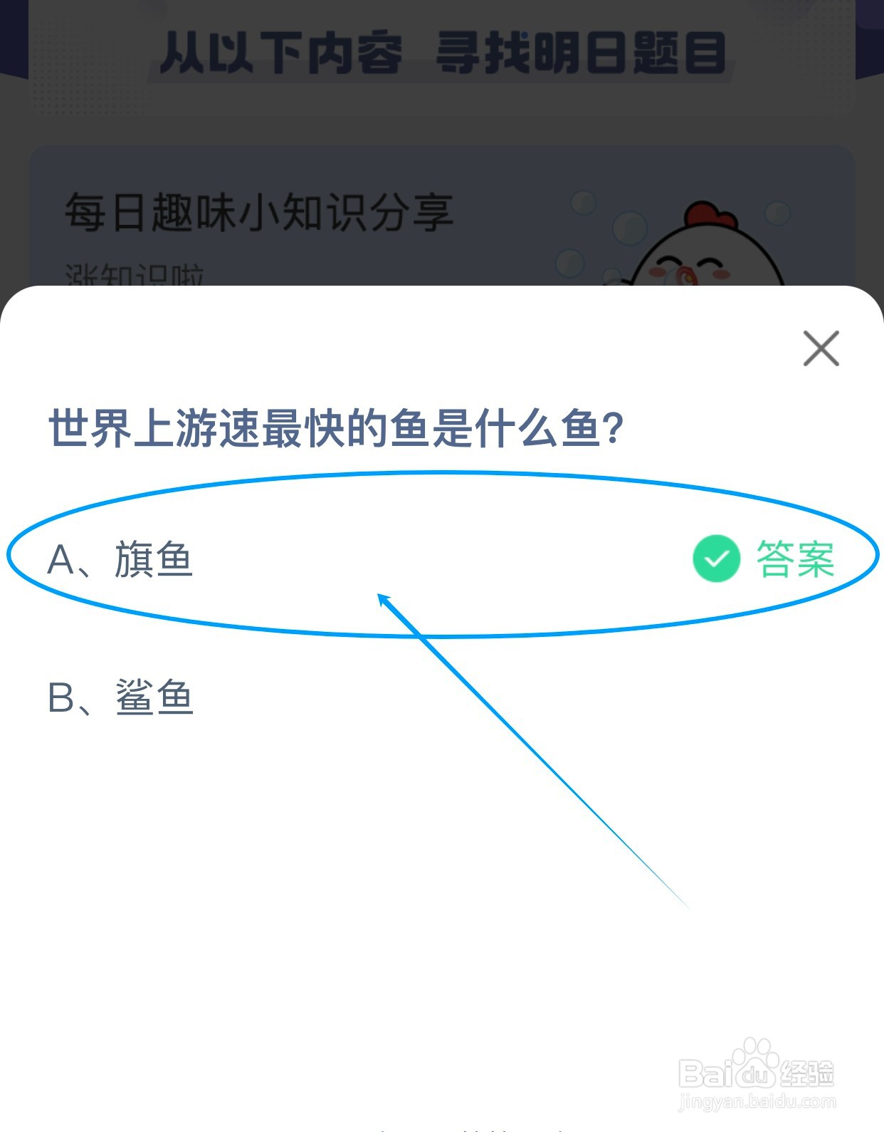 蚂蚁庄园：世界上游速最快的鱼是什么鱼?