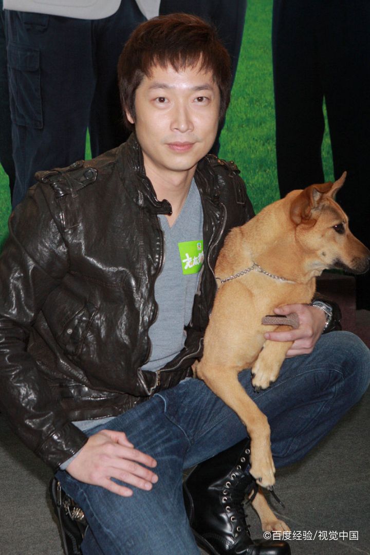 小狗乱拉屎尿怎么办