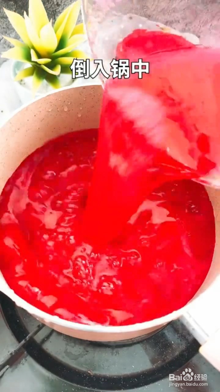 如何制作火龙果果冻