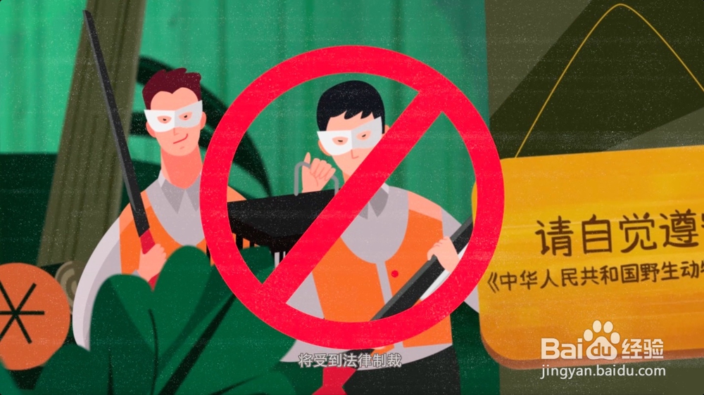 怎样正确保护野生动物