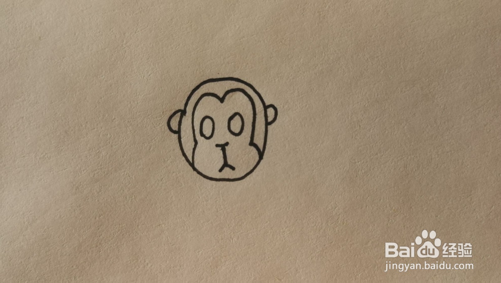 #经验分享官#小猴子的简笔画