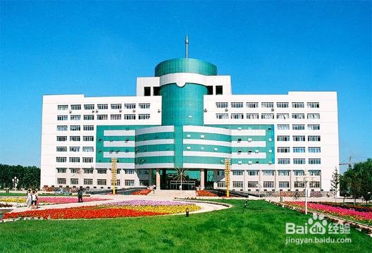 吉林师范大学成人高考小学教育专业报名