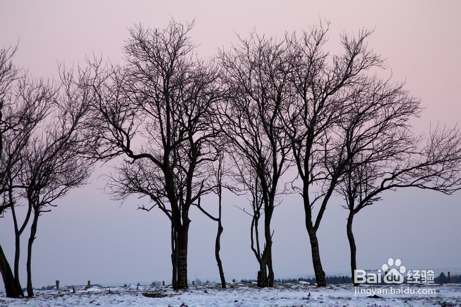 冬季为什么感到手足发冷,应如何应对呢?