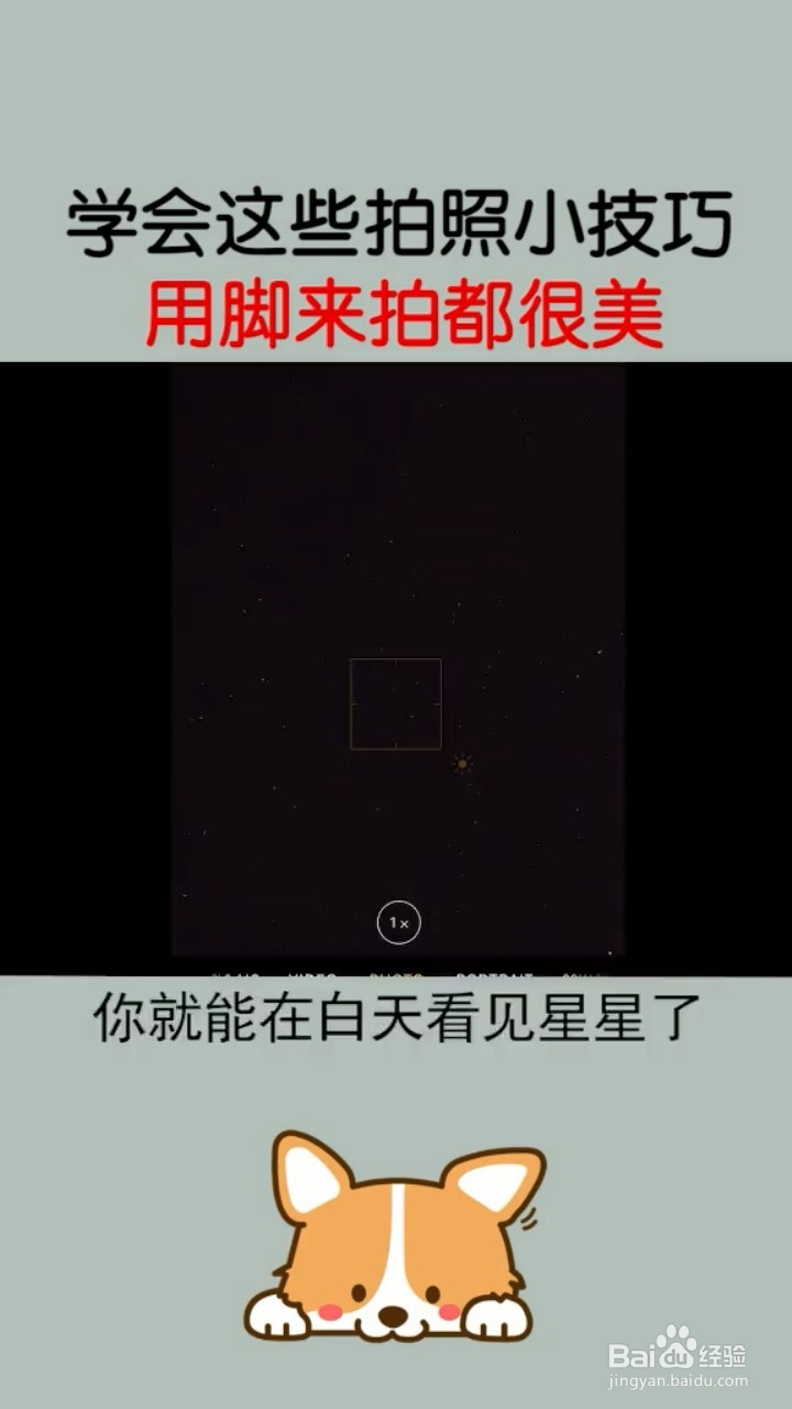 实用的拍照小技巧有哪些？