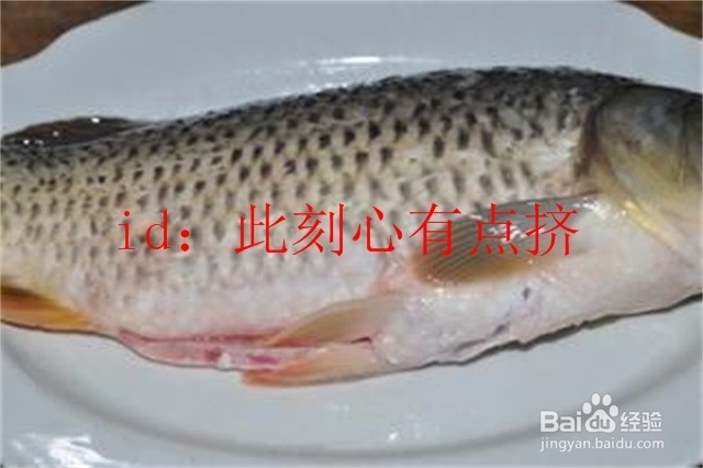 美食篇之糖醋鱼