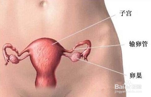 <b>怎么对卵巢保养如何保护子宫需要吃什么</b>