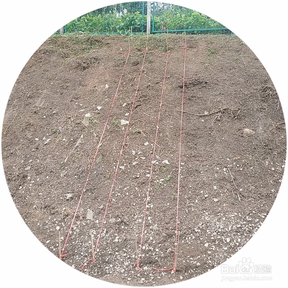 边坡人字骨架加固前期工程有哪些？