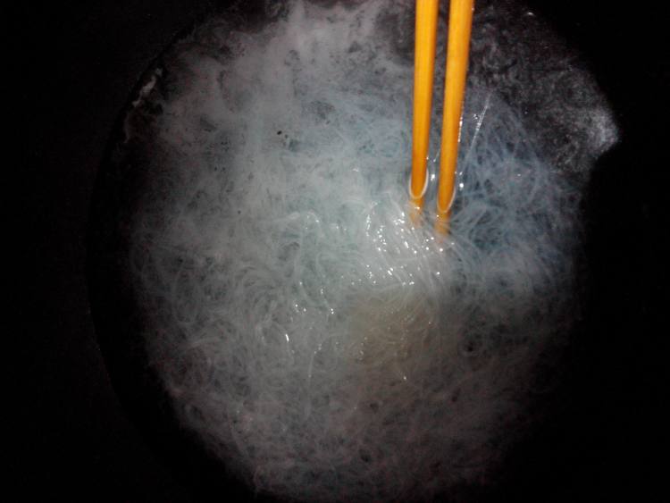 鸭血粉丝汤的做法,味道好极了!