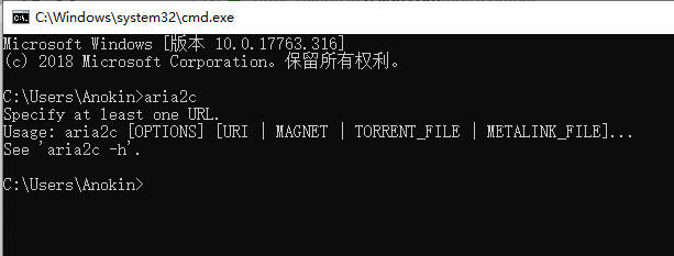 Windows系统下如何安装Aria2?