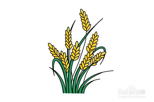 水稻怎么画简单又漂亮