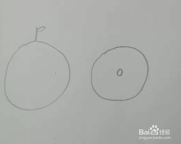 橘子的创意简笔画