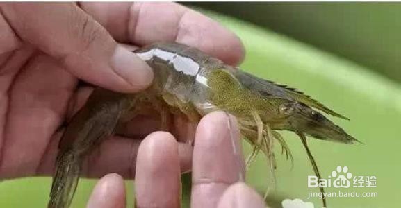 虾线如何快速去除