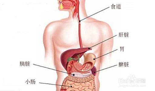 出现这些状况说明肝脏受损严重