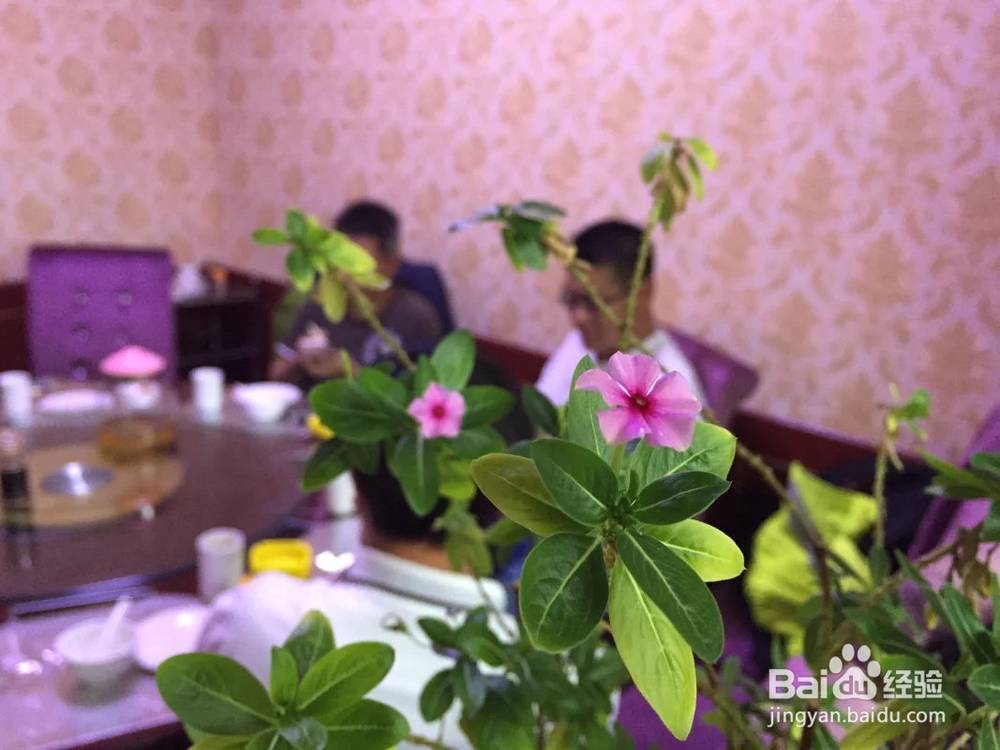 多米可团队携手铁马骑士的青海湖游记（一）