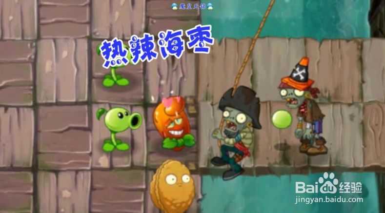 紫色植物三选一选哪个