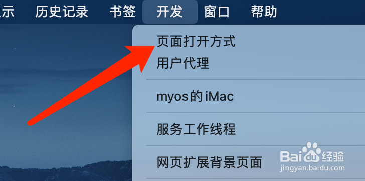 Mac版Safari浏览器如何选择页面打开方式