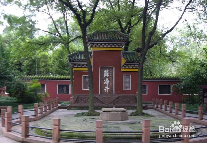 在时间紧急的情况下来成都旅游的攻略