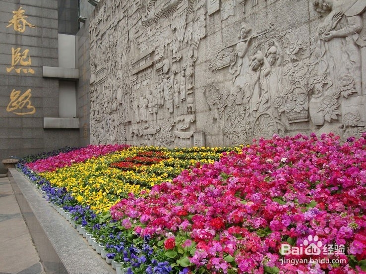 怎样更好游玩成都